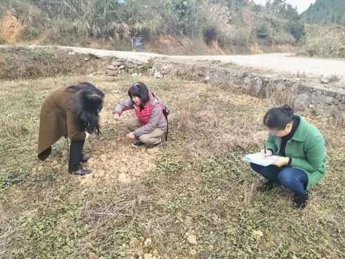 銅仁市林業(yè)局到思南縣開展林木種苗質(zhì)量抽查和執(zhí)法檢查工作