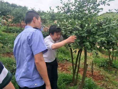 長沙市林業(yè)局集中開展林木種苗質(zhì)量與執(zhí)法檢查