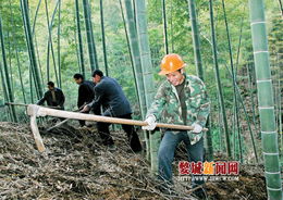 婺城著力打造農(nóng)業(yè)經(jīng)濟(jì)升級版