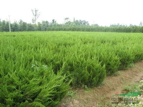 企業(yè)動態(tài)