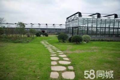 昆山工廠綠化栽種造景綠化樹木種植栽種修剪哪里有