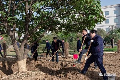 創(chuàng)建“花園式工廠”,我們在行動--公司開展2019年春季植樹活動