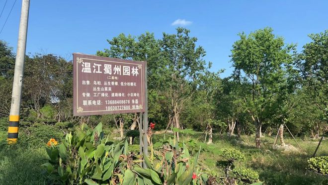 好福企·公益慈善25強(qiáng)(二)|純真&鑫星耀&金橋包裝&銀龍藥業(yè)&蜀州園藝&申蓉興泓