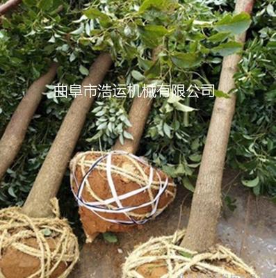 山東曲阜浩運(yùn)機(jī)械工廠(chǎng)直銷(xiāo)苗圃苗木移栽專(zhuān)用汽油動(dòng)力鏟式挖樹(shù)機(jī) 果園樹(shù)木種植鏟式挖樹(shù)機(jī)