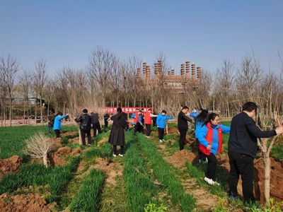 逐綠前行 與綠共生 郟縣厚植高質(zhì)量發(fā)展的生態(tài)底色
