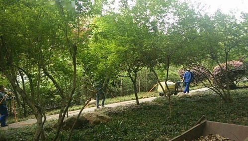 湘潭7萬畝花卉苗木分析