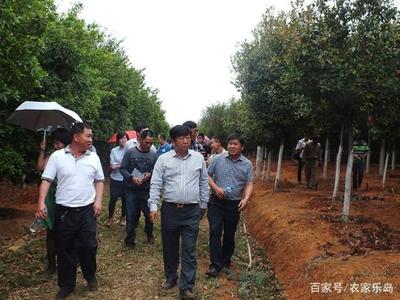 在農(nóng)村,用幾萬塊可以做什么生意?這三個生意收入可觀,不妨一試