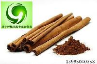 香月價格 型號 圖片