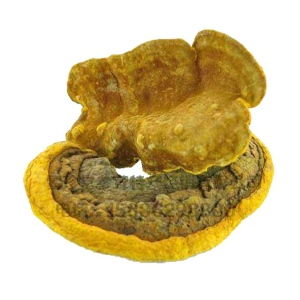 黃金 黃金價(jià)格 報(bào)價(jià) 黃金品牌廠家