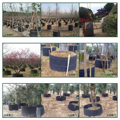 栽花種植控根器 樹(shù)木控根容器 江西大型農(nóng)場(chǎng)種植控根器