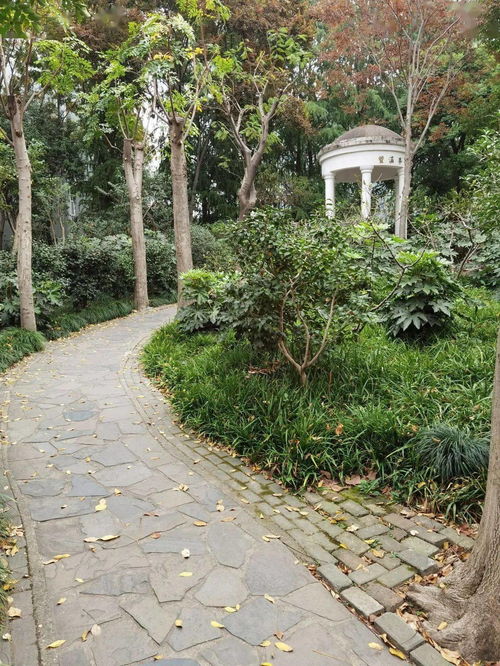 最早 古樸雅致的普陀公園